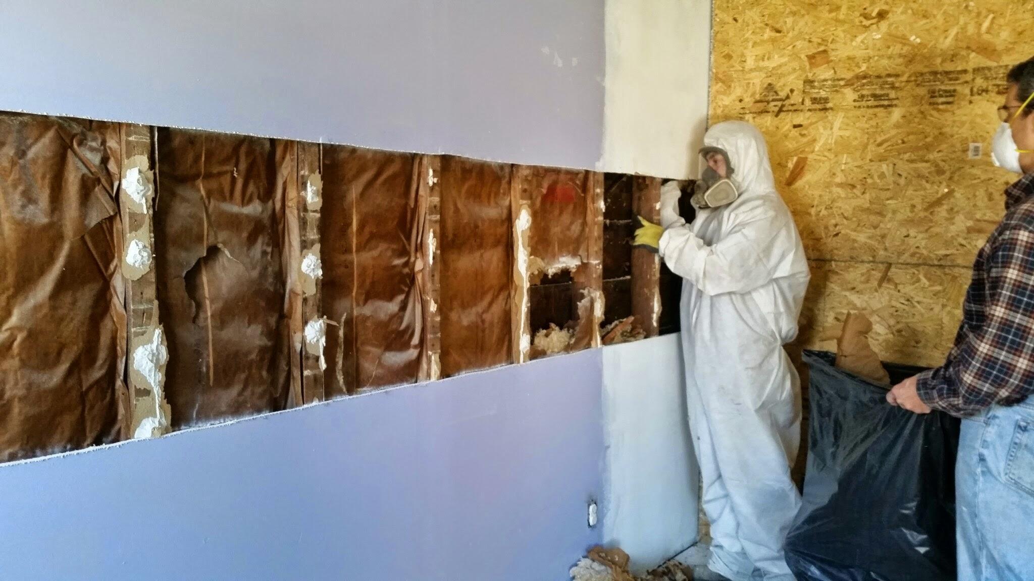 Exterior Wall Retrofit - Spray Foam Insulation - Glendale, NY 11385